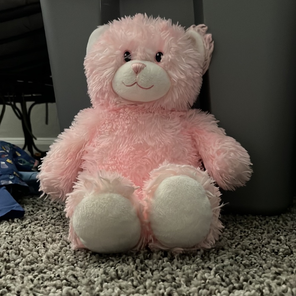 Build-A-Bear - Picture 4 of 4